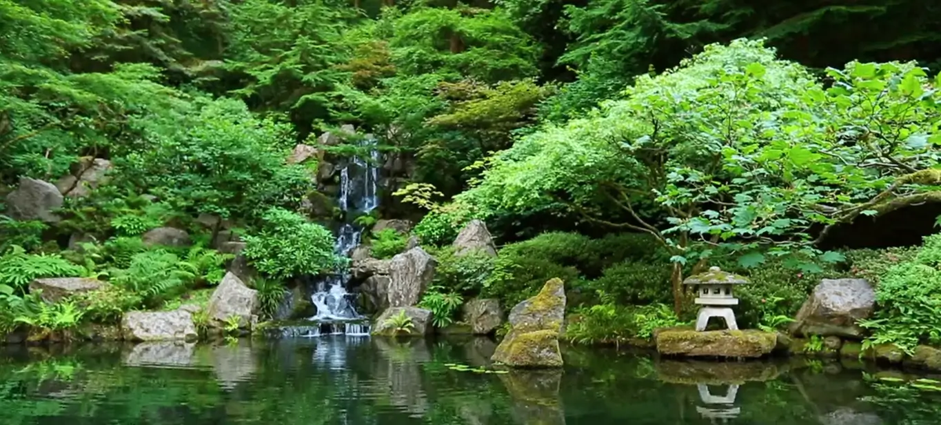 A lush green garden and waterfall