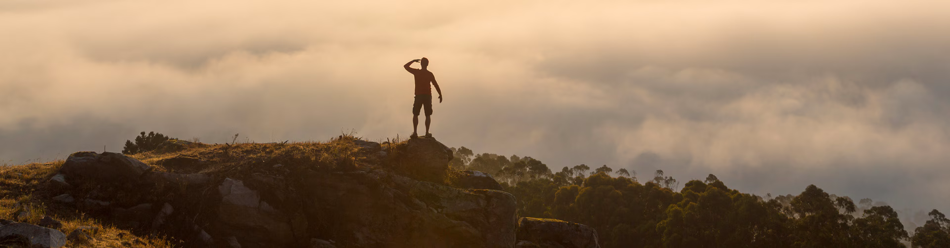 Person standing on mountain representing business principles and leadership